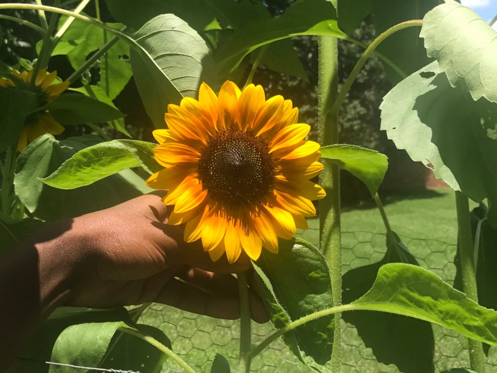 7 0 4ever-changing&nbsp;home!