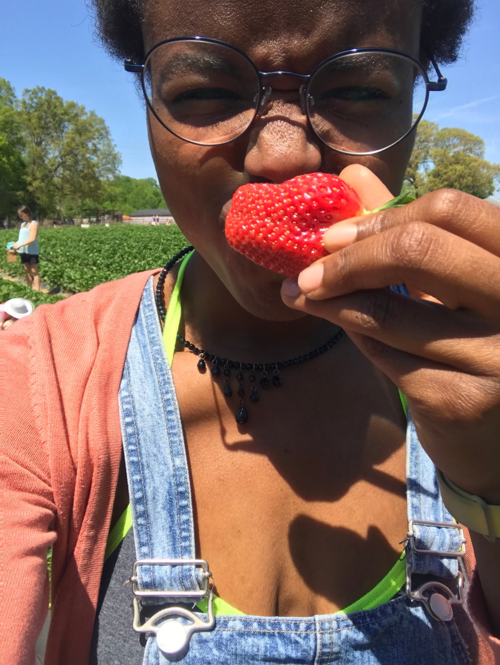 Strawberries anyone?