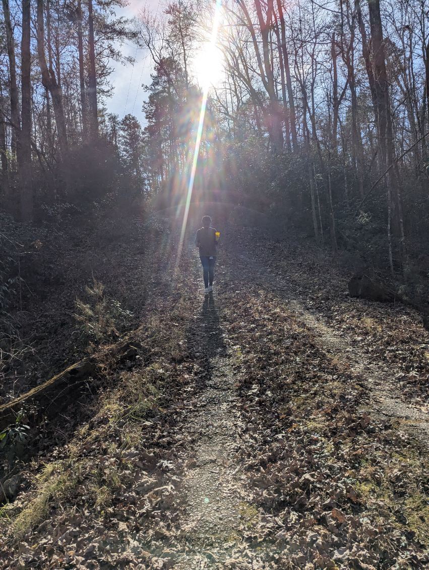 Winter, But Make It&nbsp;Charlotte